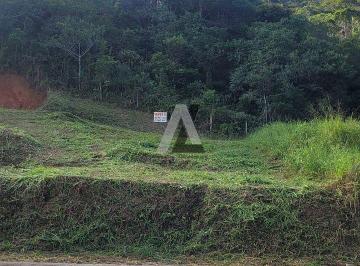 25475bb6-0f0c-4ea5-8405-f5e408d86c43-1750858114065.jpeg · Terreno no bairro São Francisco