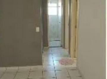 Foto 01 · Apartamento, Nova Terra, Sumaré, SP
