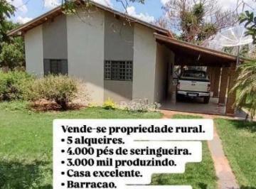 50c806974bd0c3643fdb95a28bbd192b930263e0 · Sítio Lazer e Renda: 4mil pés de Seringueira e casa boa
