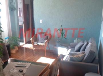 898f3f189564f13bb8db51a821d099fb.jpg · Apartamento de 50m² com 2 quartos