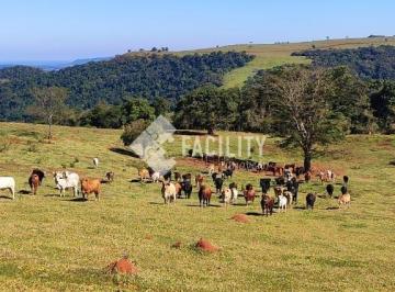 0 · FAZENDA DUPLA APTIDÃO A VENDA NA REGIÃO DE BOTUCATU - SP