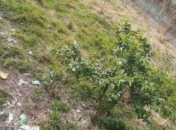 venda-chacara-cuiaba-itaquaquecetuba-1-8301904.jpeg · Imoveis - na Chácara Cuiabá