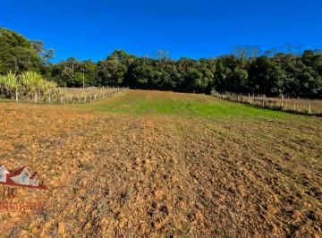 Rural , São José dos Pinhais · Chácara a Venda sem benfeitorias
