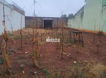 Terreno · 250m² · Terreno disponível para venda no bairro Nova Uberlândia em Uberlândia MG
