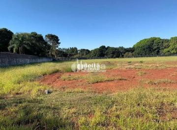 Terreno · 816m² · Terreno disponível para venda no bairro Morada dos Pássaros em Uberlândia MG