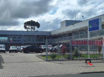 20240912173859478.jpg · Sala Comercial / Nova para Locação em Pinhais, Weissópolis, 1 dormitório, 1 banheiro, 1 vaga