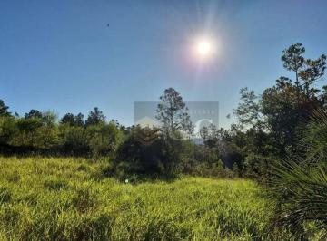 04f5512ac98c2e88a1fe3d3f44ffe537095db97b · Terrenos no Parque Florestal - Itapuã RS