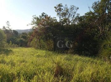 de0d935d11da65ccedd49f61ef5c831de3a5a356 · Terrenos no Parque Florestal  - Itapuã RS