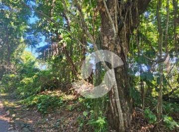 c5e266380524d1c4bf43110694ee7eadd3628af5 · Terreno à venda, 743 m² por R$ 160.000,00 - Mata Paca - Niterói/RJ