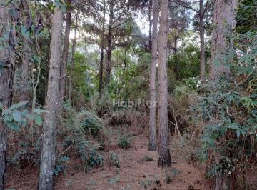 925f0953823698b2228688417848fc40565d6309 · Terreno à venda, 4989 m² - São João do Rio Vermelho - Florianópolis/SC