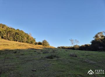 Terreno · 200000m² · ÁREA DE TERRAS ? Interior Veranópolis RS