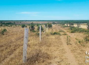 Rural , Sinop · Pecuária com 1.700 hectares | MT