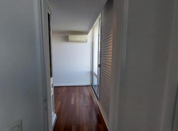 PHOTO_20260612_185135_000.jpeg · Agradável apartamento para venda em Chácara Flora com 5 quartos, sendo 5 suítes, 542m² - kathrincoar