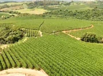 1083ca9a1ff99e7063777dd8c802f961.jpg · Fazenda / Sítios / Chácaras à venda em Santo Antônio Do Amparo, no bairro Zona Rural