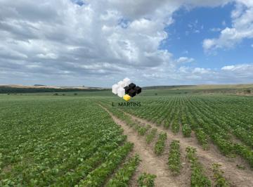 Rural · 900ha · Fazenda a Venda em Candiota 900 hectares Soja - Arroz - Pecuária