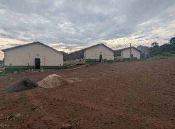 Rural · 500m² · 4 Vagas · Chácara Rural com rentabilidade, granja de suinocultura. em Marechal Cândido Rondon