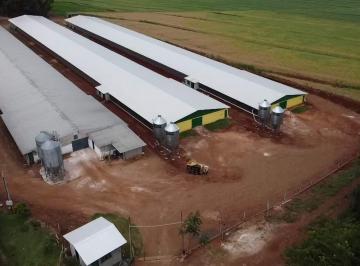 Rural · 250m² · COMPRA, VENDE, AVIÁRIO, NOVO, MARECHAL CÂNDIDO RONDON, PR