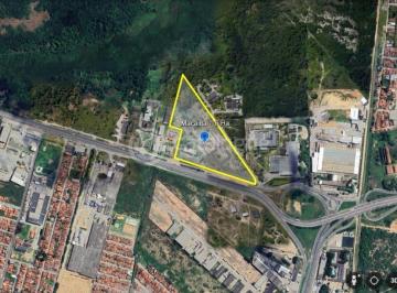 Terreno · 60000m² · Macaiba - 6 hectares - na BR 304