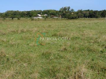 Terreno · 60000m² · Terreno Perfeito de 6 Hectares no Campo Duna-Garopaba/SC