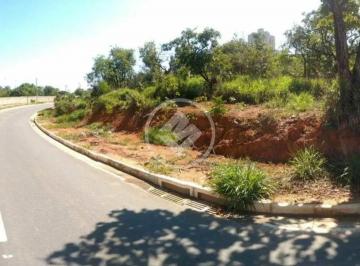 download.jpg · Terreno de 429m² no Mariposas em Lagoa Santa MG / My Broker
