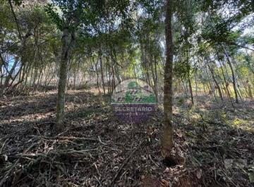 9b782d68ec5a2884c2cacbd68bf8acdae1aa1047 · Terreno à venda, 3600 m² por R$ 490.000,00 - Nogueira - Petrópolis/RJ