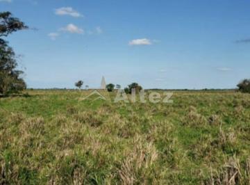 Foto 05 · Fazenda Inteiramente Plana, 91,8 Alq (444,4 ha), Campos dos Goytacazes, RJ