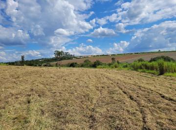 Rural , Holambra · Terreno com quase 1 Alqueire em boa localização excelente topografia.