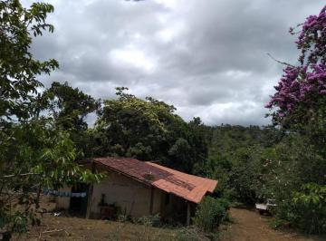 Rural , Nilo Peçanha · Ótima em Fazenda em Nilo Peçanha