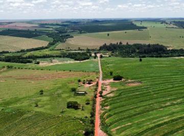 202506301913444690.jpeg · Fazenda para Venda em Alto Paraná, zona rural