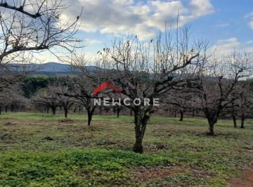 Rural · 80m² · 2 Quartos · 10 Vagas · Sítio em Rua Carmela Paladino Petti - Chácara Santa Cruz dos Pires - Itatiba/SP
