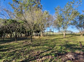 Rural , Araricá · Mini Sítios em Araricá na Localidade do Campo da Brazina (3 Lotes Disponíveis)