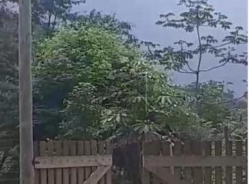 202412161522426481.jpg · Terreno para Venda em Ubatuba, Vila de Itamambuca