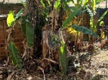 Terreno · 450m² · Terreno à venda em Vila mazzei - SP