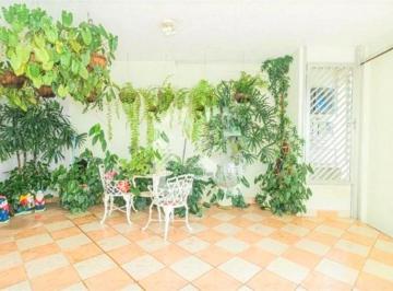 Casa · 266m² · 4 Quartos · 4 Vagas · Sobrado com 4 quartos à venda em Vila Mazzei - SP