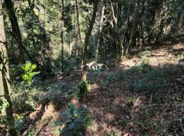 Foto-Imovel-ID065340No0003-terreno-correas-petropolis--17514213175245.jpeg · Imoveis - em Corrêas