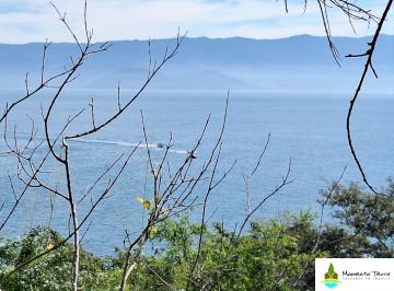Terreno · 66064m² · Terreno à venda, Pacuíba-Ilhabela
