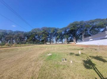 26206fe56a97d48431f5cff309240f470ff50e4a · TERRENO A VENDA  RESERVA SANTA IZABEL EM JAGUARIUNA SP.