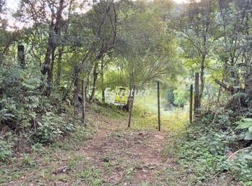 Rural · 22ha · Refúgio Natural: Chácara com Árvores Frutíferas e Riacho em São Martinho da Serr
