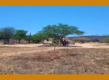 Rural · GLEBA DE TERRAS COM BENFEITORIA DE 2 CASAS, NO SÍTIO ALAGOINHA, ARARIPINA/PE