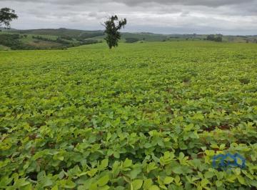 Foto 01 · Sítio/Fazenda à Venda, 20 alqueires por R$ 4.500.000 Cód. ch2325