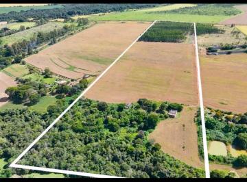 Rural de 5 quartos, Planaltina · A&M IMOVEIS VENDE EXELENTE CHACARA NUCLEO RURAL TABATINGA  18,06 HECTARES