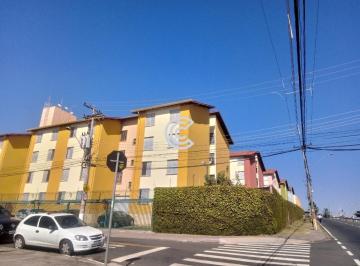 Foto 11 · Apartamento, Jardim Paulicéia, Campinas, SP