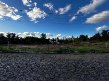 701409_iEu143269_7014096863e50742d90.jpg · Terreno Bairro Campo Grande Estancia Velha