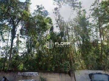 64a95bd2a7fe9810cc003fe9a43df3d894030fb6 · Terreno à venda, 12384 m² por R$ 3.000.000,00 - Piratininga - Niterói/RJ