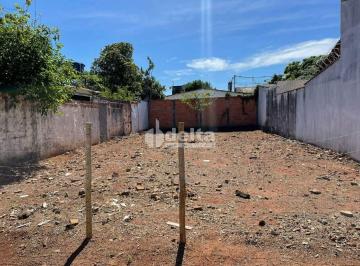 NULL · Terreno disponível para venda no bairro Vigilato Pereira em Uberlândia-MG