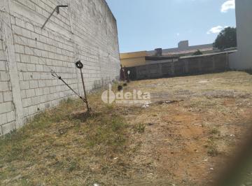 NULL · Terreno disponível para locação no bairro Nossa Senhora Aparecida em Uberlândia-MG
