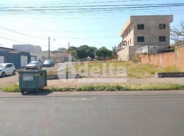 Terreno · 300m² · Terreno disponível para aluguel no bairro Alto Umuarama em Uberlândia-MG