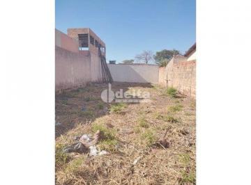 Terreno · 290m² · Terreno disponível para locação no bairro Dona Zulmira em Uberlândia - MG