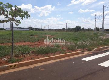 Terreno · 310m² · Terreno disponível para locação no bairro Minas Gerais em Uberlândia-MG