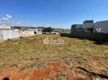 NULL · Terreno disponível para locação no bairro Daniel Fonseca em Uberlândia-MG